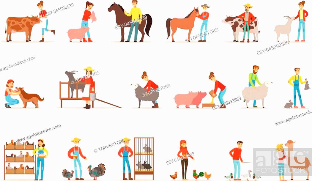 Stock Vector: Breeding animals farmland. Farm profession worker people breeding livestock. Set of colorful cartoon detailed vector Illustrations isolated on white background.
