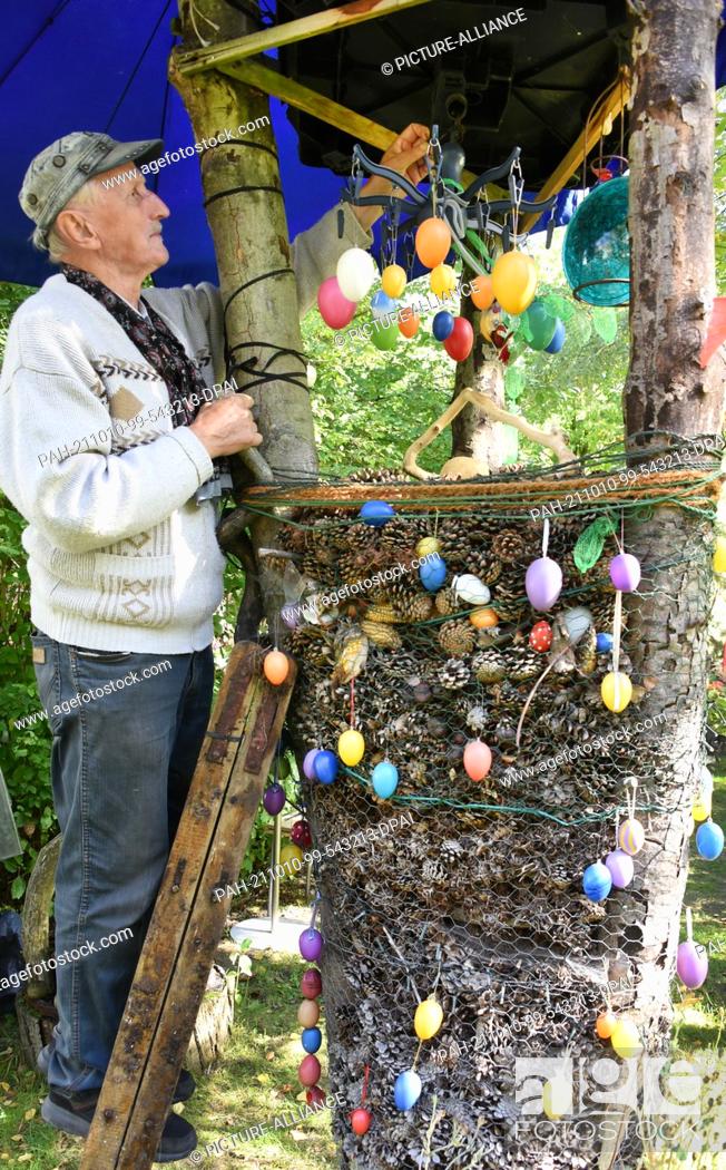 Stock Photo: 02 October 2021, Saxony, Leipzig: Fritz Hundt arranges colourful Easter eggs in ""his"" Hundtsche Park, which decorate a tree trunk together with pine cones all.