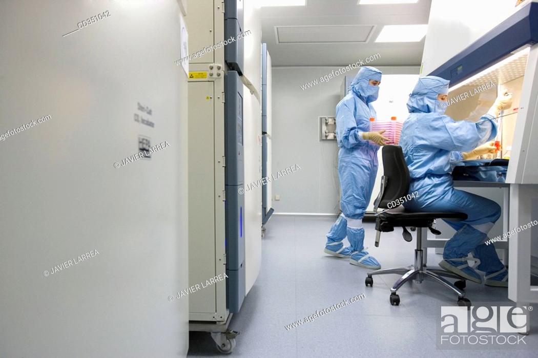 Stock Photo: Clean room, preparing DMEM (DulbecoÂ's Modified EagleÂ's Medium) in laminar flow cabinet, biopharmaceutical lab, development and production of innovative drugs.