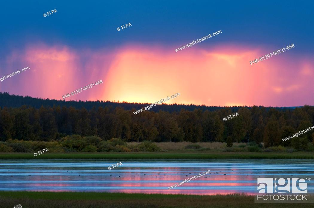 Stock Photo: View of rainclouds over forest and lake habitat at sunset, Muonio, Lapland, Finland, September.