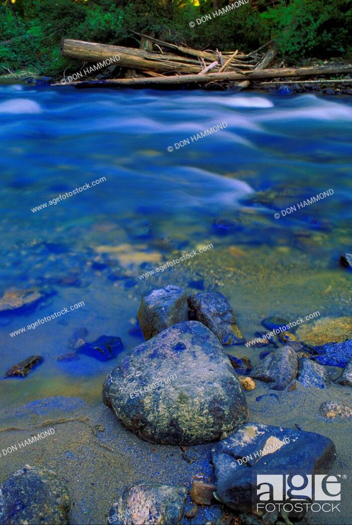 Stock Photo: Rocks in small creek.