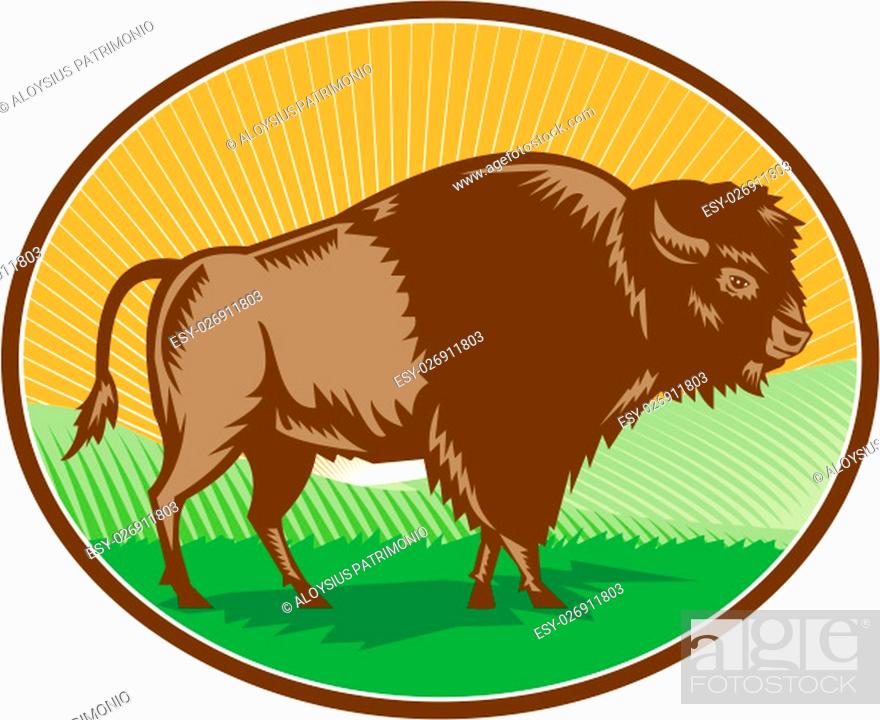 Stock Photo: Illustration of an american bison buffalo bull viewed from the side set inside oval shape with sunburst and grass field in the background done in retro woodcut.