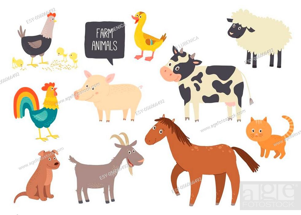 Set of cute farm animals. Horse, cow, sheep, pig, duck, hen, goat, dog,  cat, Stock Vector, Vector And Low Budget Royalty Free Image. Pic.  ESY-056066492 | agefotostock