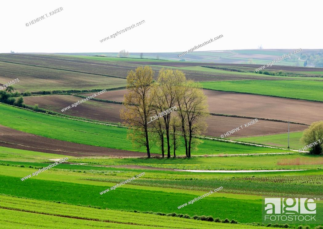 Stock Photo: Field in Lesser Poland near Slomniki.