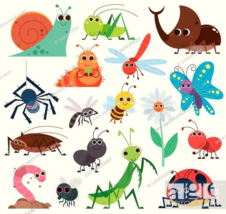 Vector Illustration of Cute insect set. Cartoon insects, Stock Vector,  Vector And Low Budget Royalty Free Image. Pic. ESY-058513457 | agefotostock