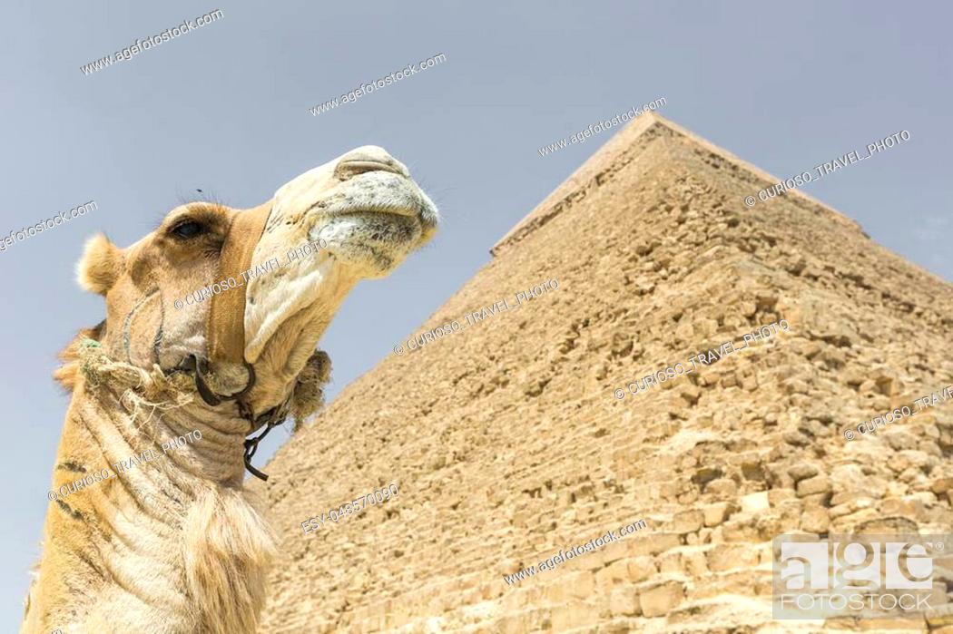 Stock Photo: Great Egyptian pyramids in Giza, Cairo.