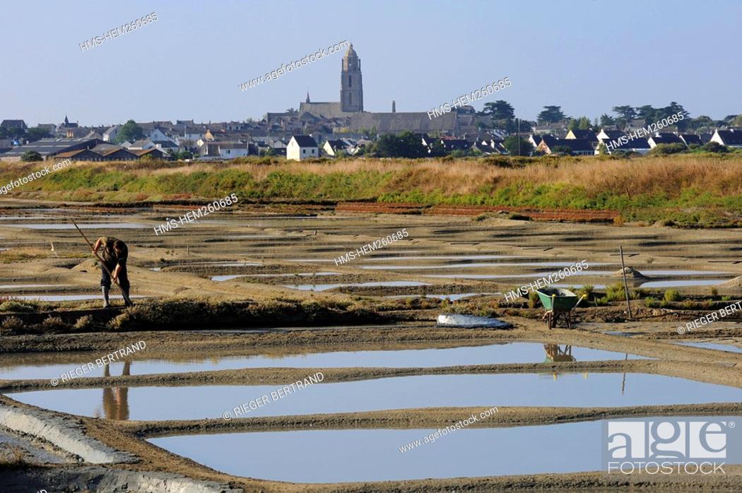 Stock Photo: France, Loire Atlantique, Presqu'ile de Guerande, Batz sur Mer, salt marshes.