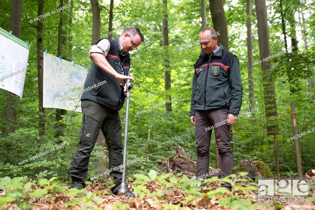 Stock Photo: 25 May 2022, Saxony, Dresden: Jacob Frank (l), state inventory manager of Saxony Forest, takes a soil sample next to Wolfram Günther (Bündnis90/Die Grünen).