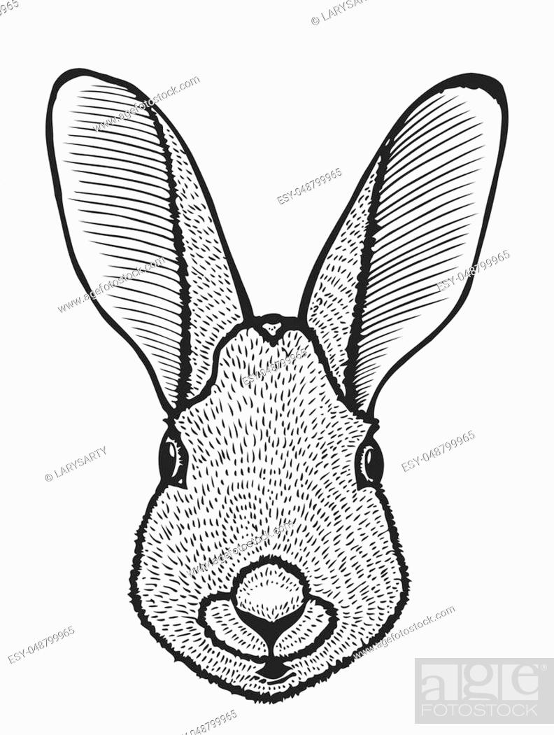 Easter bunny continuous one line drawing. Rabbit with eggs simple image.  Minimalist vector illustration Stock Vector Image & Art - Alamy