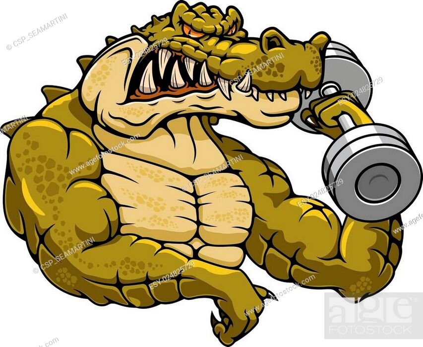 Cartoon crocodile mascot with dumbbell, Stock Vector, Vector And Low Budget  Royalty Free Image. Pic. ESY-024825729 | agefotostock