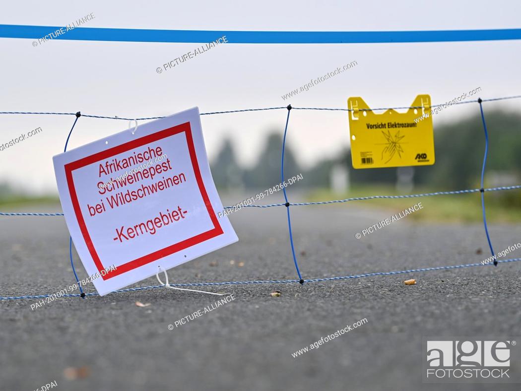 Stock Photo: 01 October 2020, Brandenburg, Genschmar: A mobile electric fence with a slip of paper with the inscription ""African swine fever in wild boars - core area"".