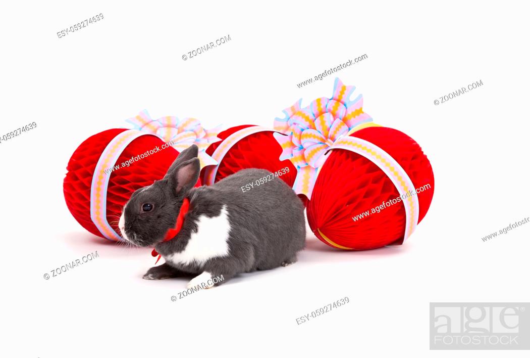 Stock Photo: Easter bunny and Easter eggs isolated on white background.