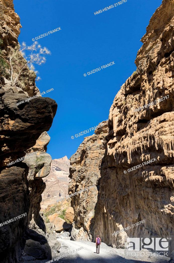 Stock Photo: Sultanate of Oman, gouvernorate of Ad-Dakhiliyah, Djebel Shams in the Al Hajar Mountains range, hike in Wadi an Nakhur in the Grand Canyon of Arabia.