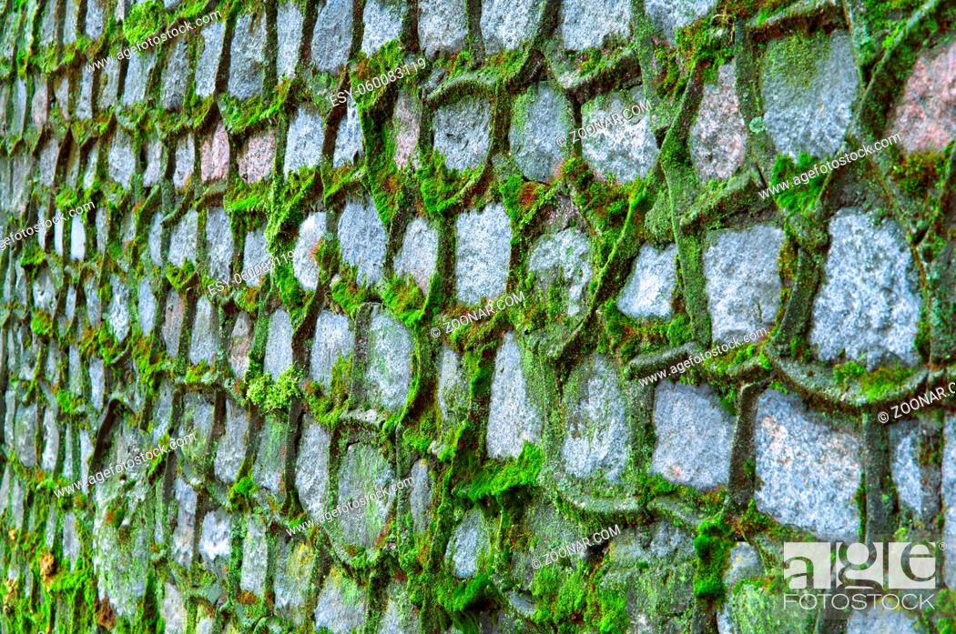 Photo de stock: green moss covered the old stone wall.