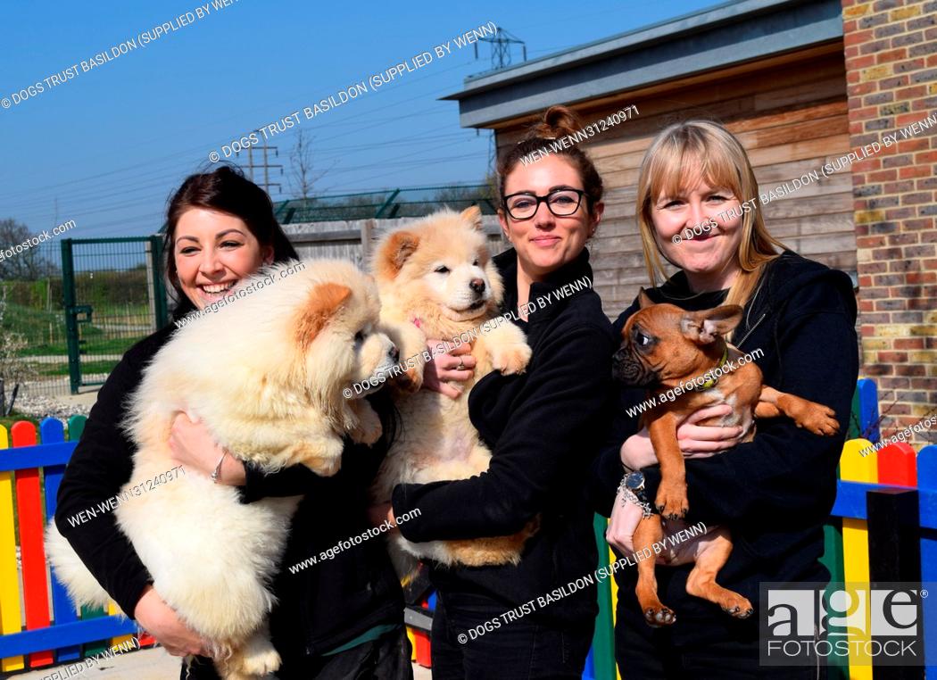 Stock Photo: A Wickford-based dog charity has unveiled a new puppy playground offering the youngsters in its care a safe place to have fun and frolics.