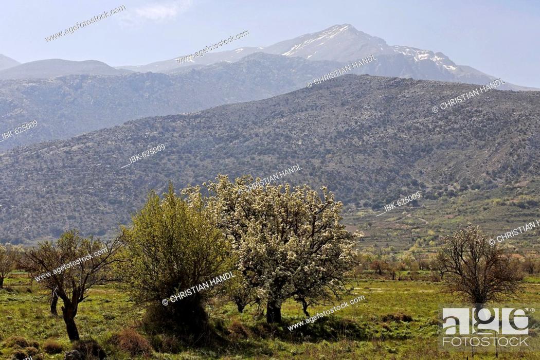Stock Photo: Lasithi Plateau and Mt. Dikte, Crete, Greece, Europe.