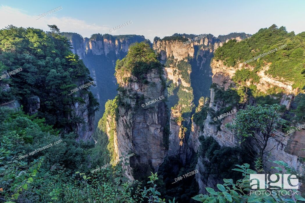 Stock Photo: China, Hunan Province, Zhangjiajie National Forest Park UNESCO World Heritage Site, Hallrlujah Mountains Floating Mountains, Avatar site, morning.