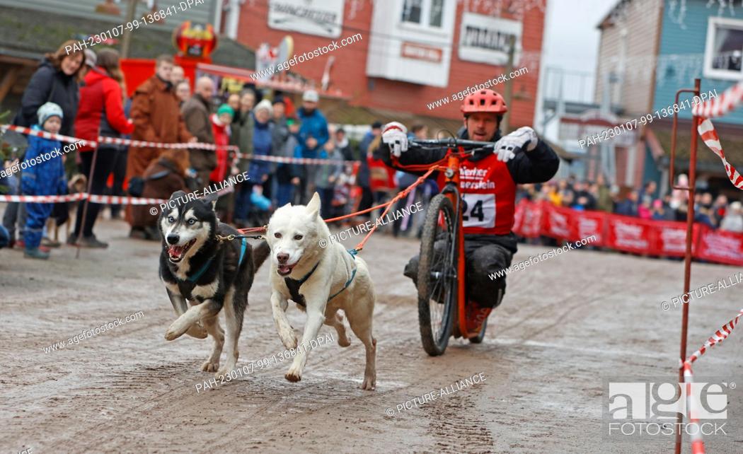 Imagen: 07 January 2023, Saxony-Anhalt, Hasselfelde: A participant of the 22nd International Sled Dog Race in the western town of Pullman City Harz during the lap chase.