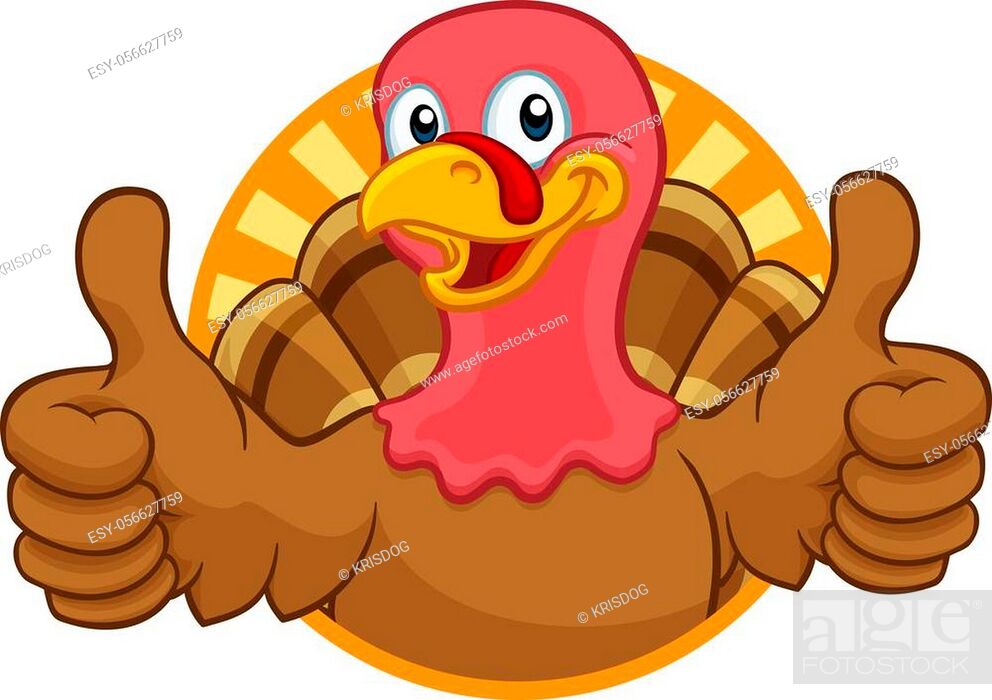 Turkey Thanksgiving or Christmas bird animal cartoon character giving a  thumbs up, Stock Vector, Vector And Low Budget Royalty Free Image. Pic.  ESY-056627759 | agefotostock