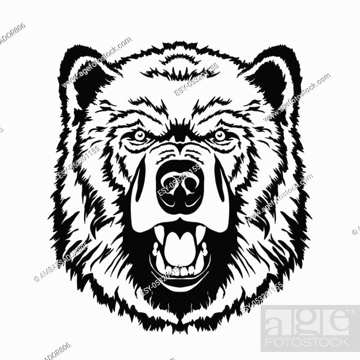 Bear head cartoon, Grizzly Mascot Hand drawn Emblem, Wild animal t-shirt  design, Stock Vector, Vector And Low Budget Royalty Free Image. Pic.  ESY-053201155 | agefotostock