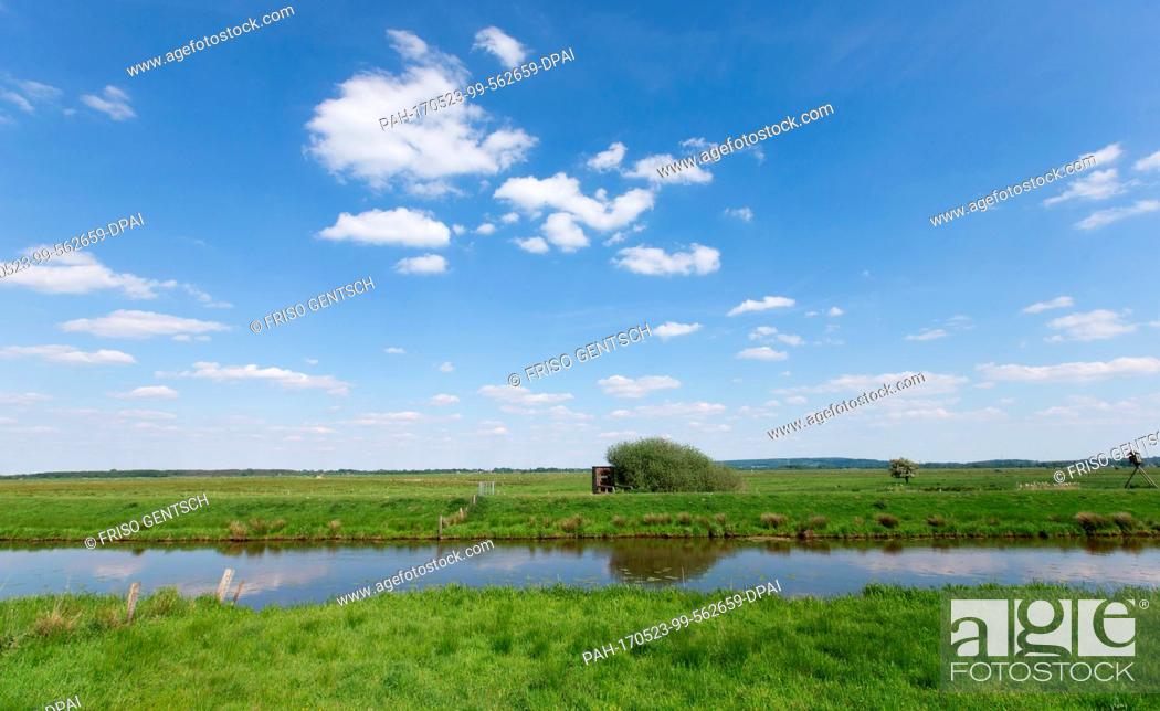 Stock Photo: View of the Hunte, an inflow of the Duemmer lake near Lemfoerde, Germany, 22 May 2017. The second biggest inland lake of the state is prone to blue algae.