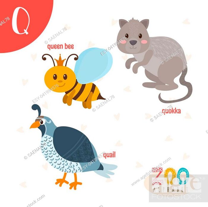 Letter Q. Cute animals. Funny cartoon animals in vector. ABC book, Stock  Vector, Vector And Low Budget Royalty Free Image. Pic. ESY-041994576 |  agefotostock