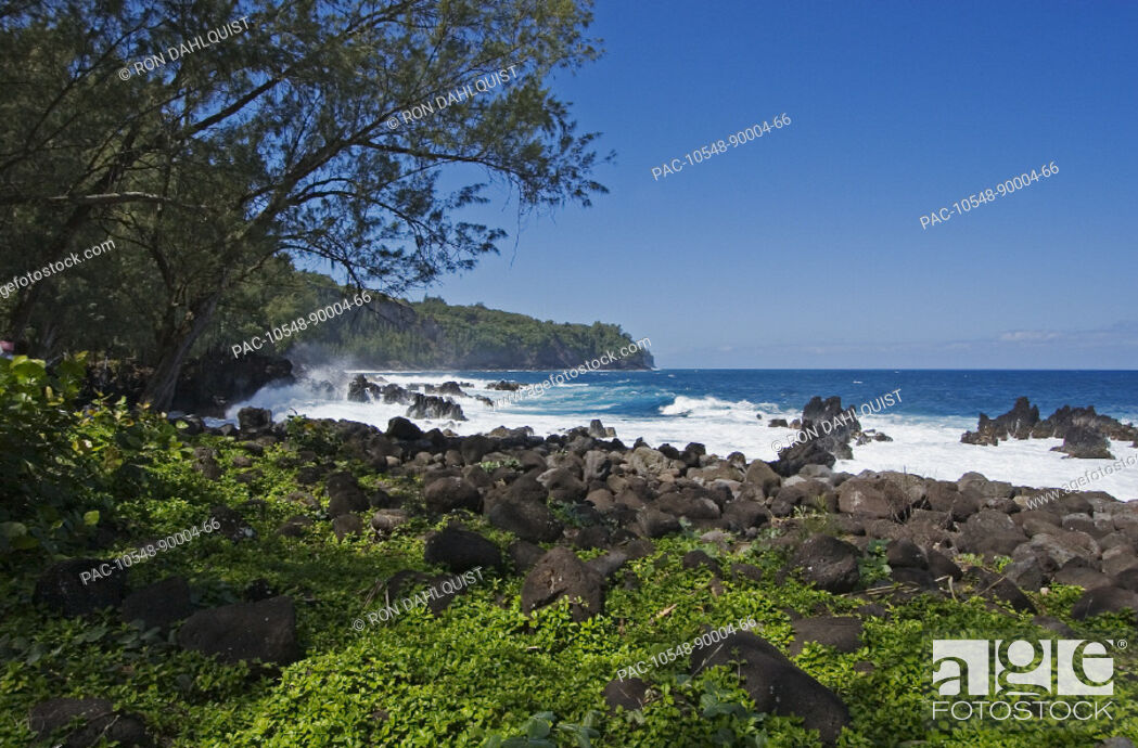 Stock Photo: Hawaii, Big Island, Hamakua Coast viewed from Laupahoehoe State Park.