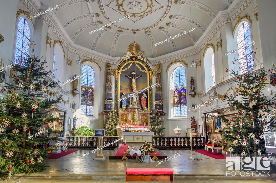 Photo de stock: Main altar with Christmas trees, St Magnus Church in Buchenberg, Allgäu, Bavaria, Germany, Europe.