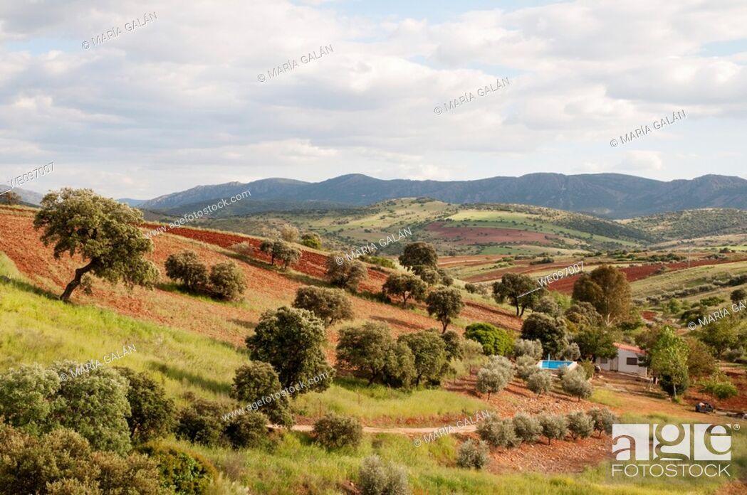 Stock Photo: Landscape. Campo de Calatrava, Ciudad Real province, Castilla La Mancha, Spain.