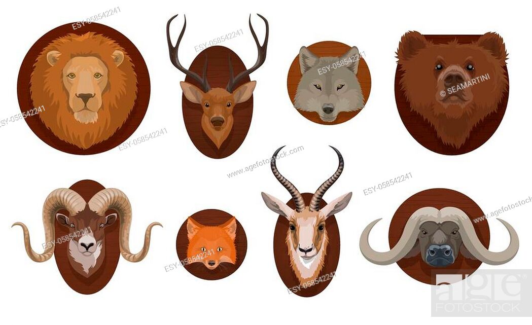 Hunting trophies, wild animal head mount. Lion, wolf and grizzly bear,  forest deer, Stock Vector, Vector And Low Budget Royalty Free Image. Pic.  ESY-058542241 | agefotostock