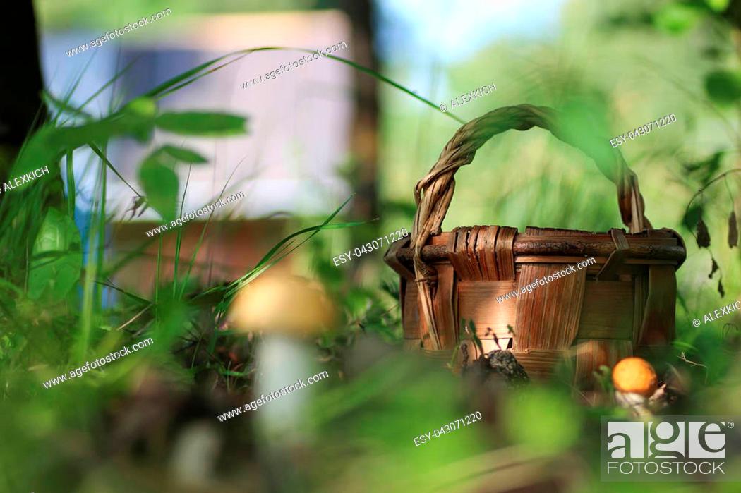 Stock Photo: various objects of the summer season in the best of this wonderful period.
