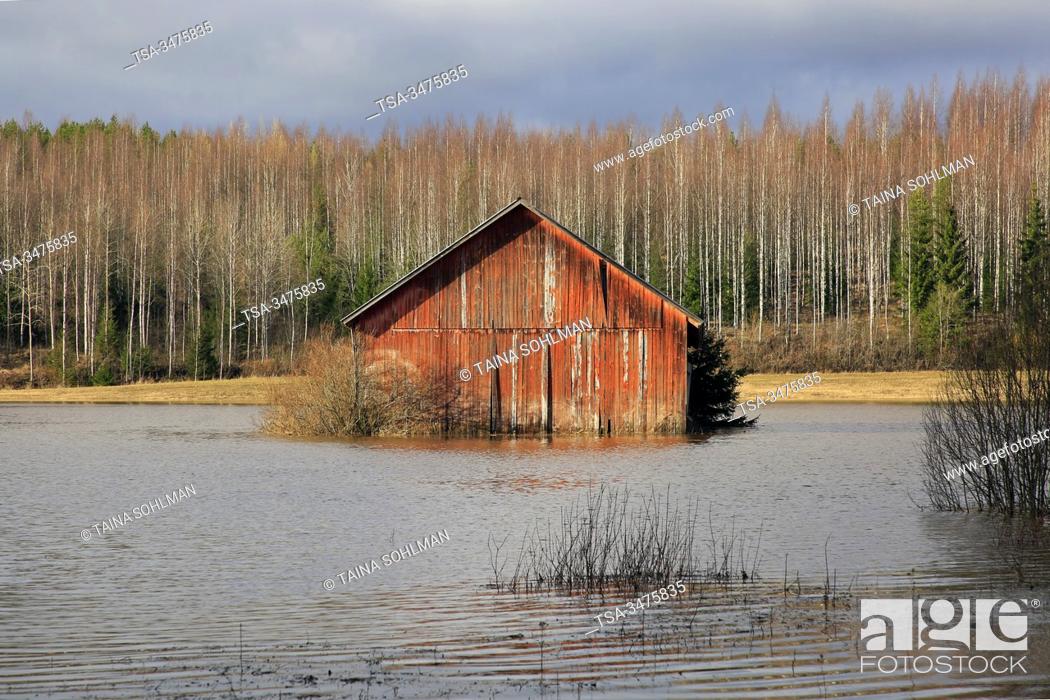 Stock Photo: Nummi, Lohja, Finland. February 23, 2020. Flooded barn in field near Highway 110, South of Finland. Hämjoki river is flooding due to high rainfall and storms.