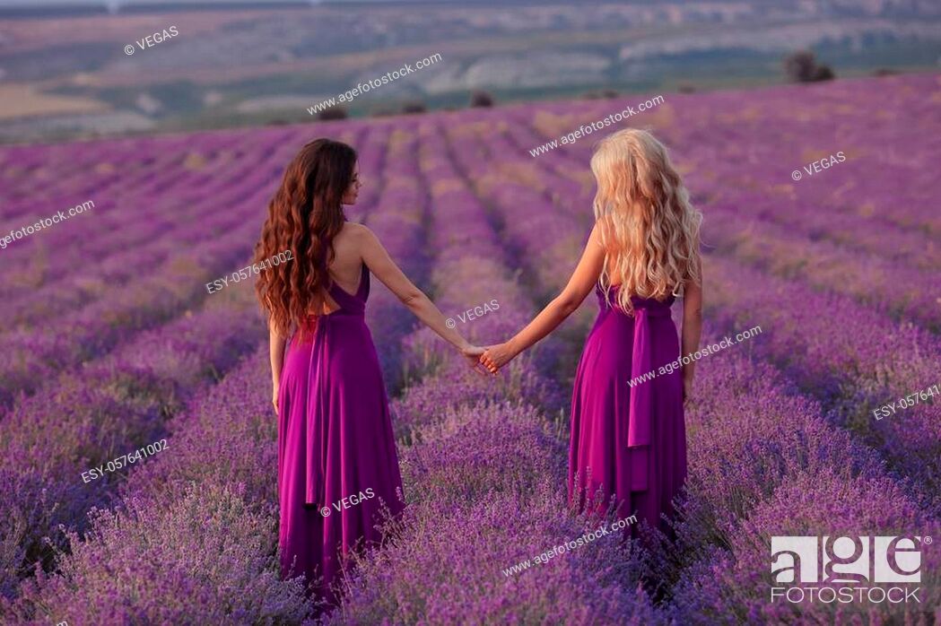 Carefree two women hold hands enjoying sunset in lavender field. Harmony,  Stock Photo, Picture And Low Budget Royalty Free Image. Pic. ESY-057641002  | agefotostock