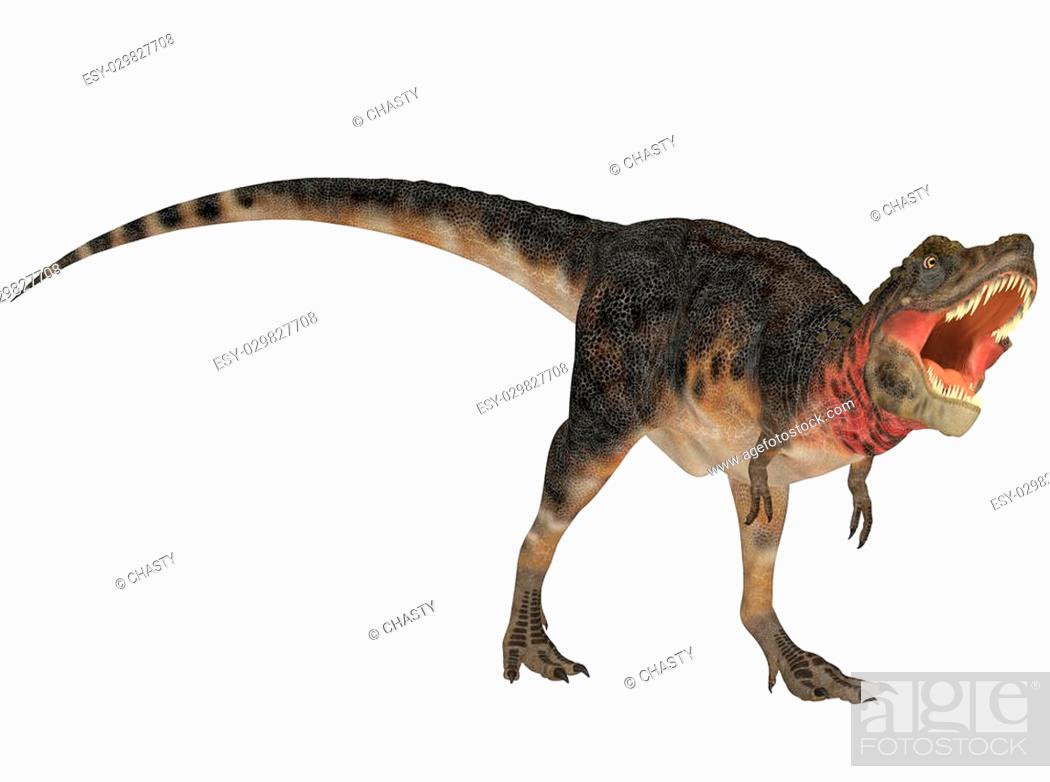Stock Photo: Illustration of a Tarbosaurus (dinosaur species) isolated on a white background.