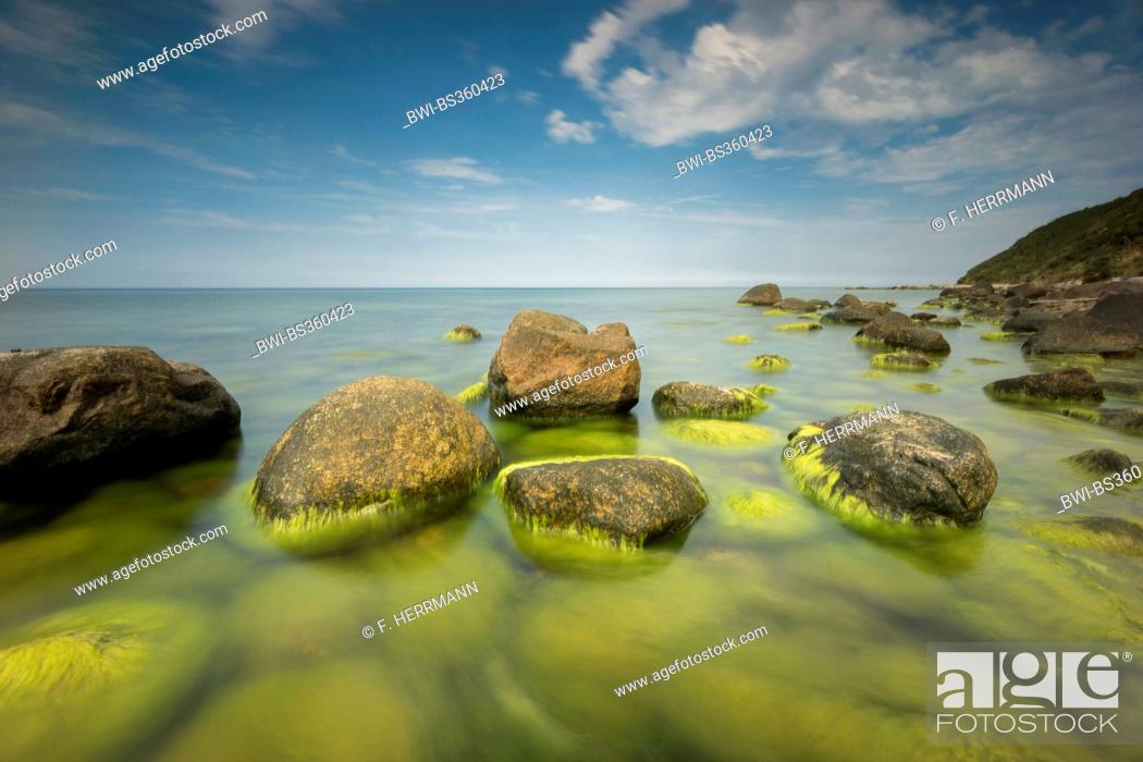 Stock Photo: stones covered with algae in the Baltic Sea, Germany, Mecklenburg-Western Pomerania, Baltic Sea, Hiddensee.