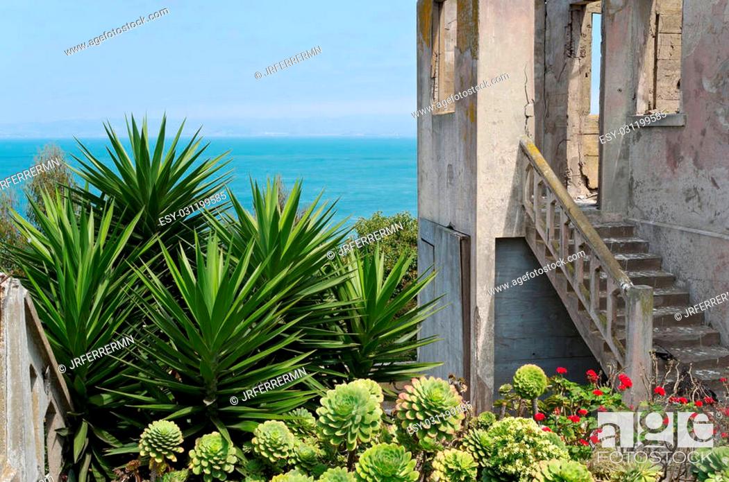 Stock Photo: derelict and abandoned ruins of warden house on alcatraz island and garden of yucca and aeonium arboreum plants overlooking san francisco bay california.