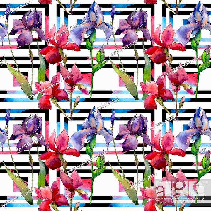 Stock Photo: Wildflower iris flower pattern in a watercolor style. Full name of the plant: iris. Aquarelle wild flower for background, texture, wrapper pattern.