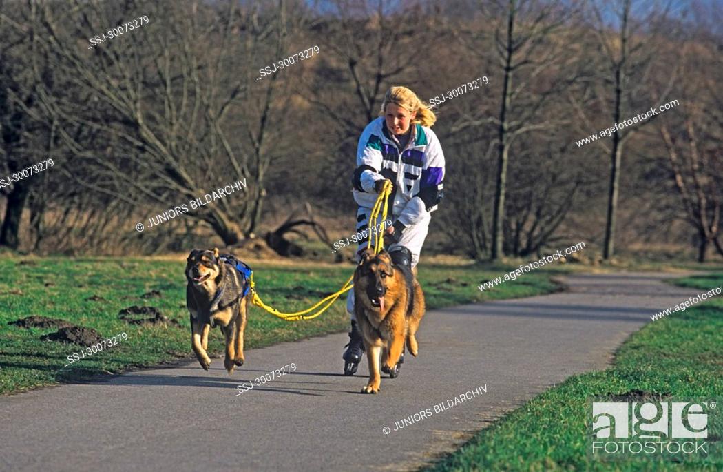 Stock Photo: Freizeit mit Hunden.