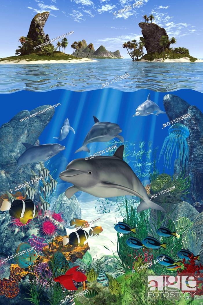 Stock Photo: Dolphin and fish swimming underwater in ocean.