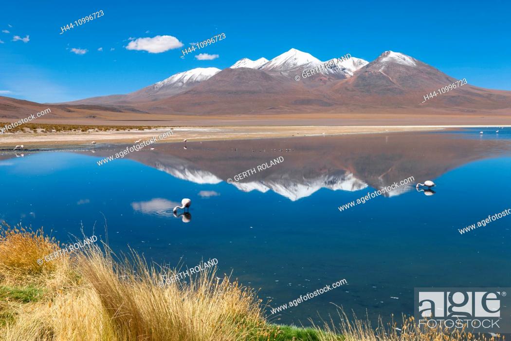 Stock Photo: Laguna Canapa, Bolivia, Altiplano,.