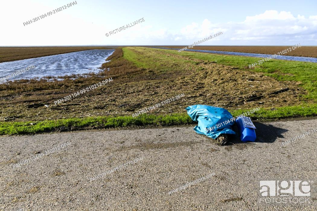 Stock Photo: 04 November 2020, Rickelsbüller Koog: A plastic bag filled with dead barnacle geese lies behind a dike. In the municipality in the district of North Frisia.