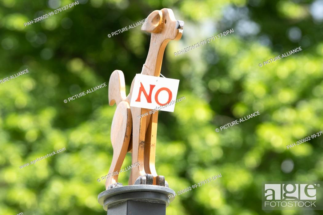 Stock Photo: 02 June 2020, Saxony, Bad Schandau: A wooden figure in the shape of a dog with the sign ""No"" stands on a plinth at a driveway.