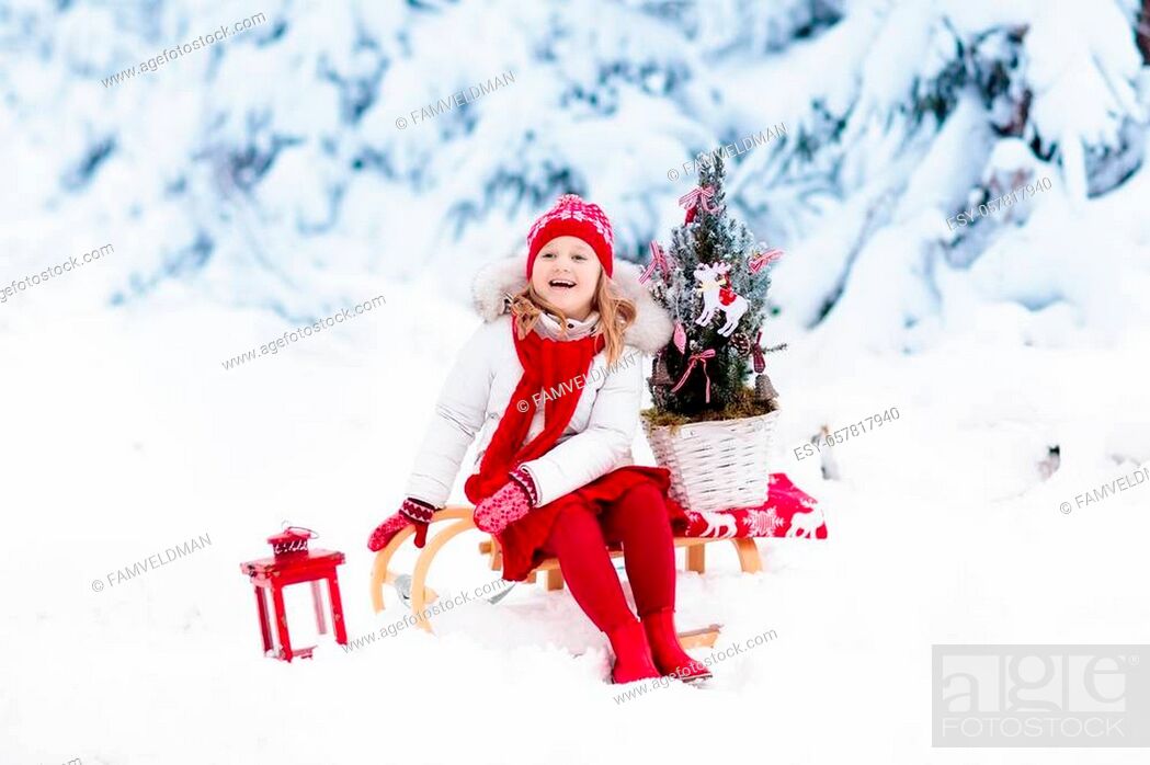 Stock Photo: Children with Christmas tree on wooden sled in snow. Kids cut Xmas tree. Little girl on sledge in snowy forest. Family selecting winter holidays decoration.