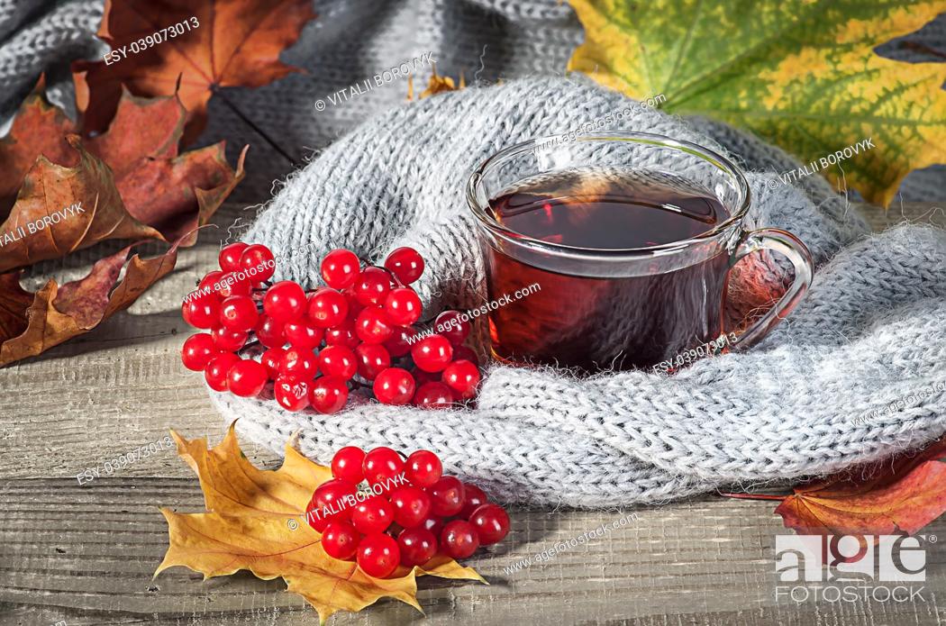 Imagen: Black tea with a viburnum. Autumn maple leaves on a wooden table next to a knitted scarf.