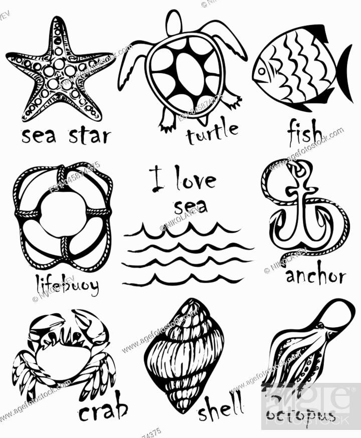 Graphic drawings of marine animals. Imitation of graphic drawings in ink,  Stock Vector, Vector And Low Budget Royalty Free Image. Pic. ESY-045874375  | agefotostock