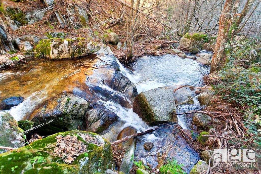 Stock Photo: Hornillos stream in the Sierra de Gredos. La Adrada. Avila. Castilla Leon. Spain. Europe.