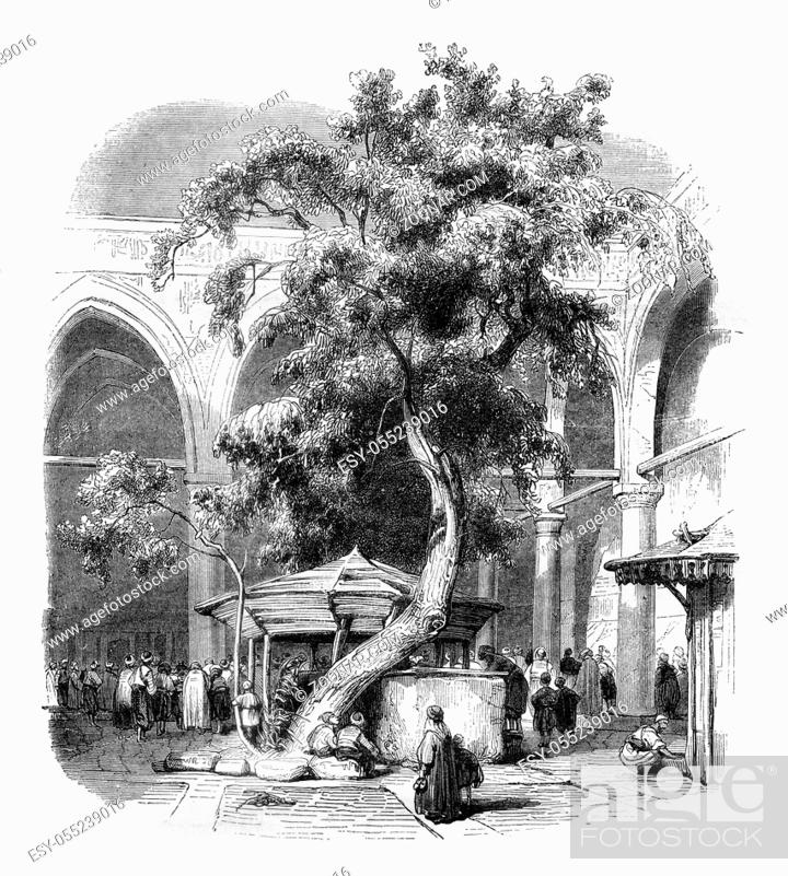 Stock Photo: Courtyard of kesmas el baradeyeh mosque, vintage engraved illustration. Magasin Pittoresque 1845.