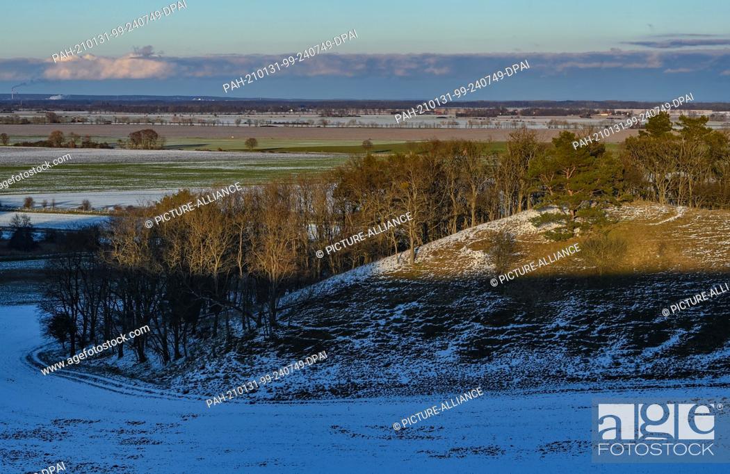 Stock Photo: 30 January 2021, Brandenburg, Mallnow: A little snow lies on the slopes at the edge of the Oderbruch, a region in the east of the state of Brandenburg.