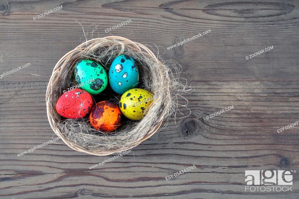 Stock Photo: Colored Easter eggs and nest on wooden table background. Painted quail eggs.