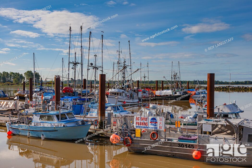 Stock Photo: Vessels at the Steveston Fishermans Wharf advertising the arrival of Spot Prawns in British Columbia Canada.